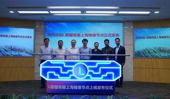 中國互聯網迎來新篇章 上海鏡像根服務器節點正式上線